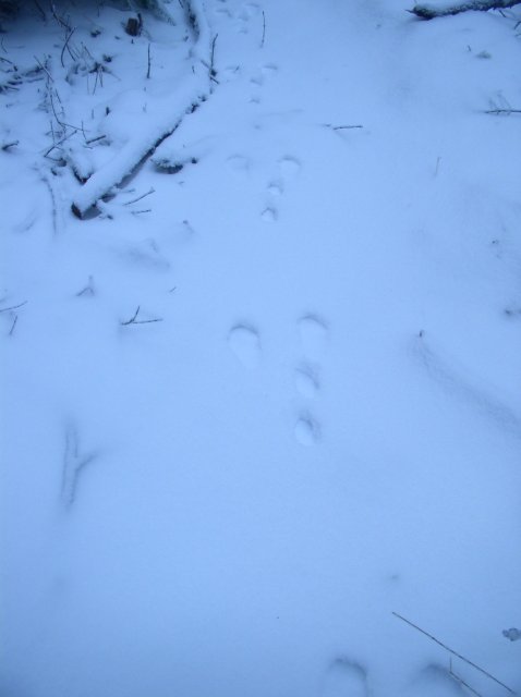 11.27.05 Nesmith Point 112 